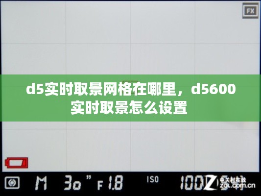 d5实时取景网格在哪里,d5600实时取景怎么设置