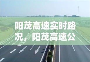 阳茂高速实时路况,阳茂高速公路