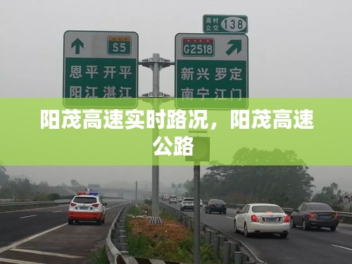 阳茂高速实时路况,阳茂高速公路