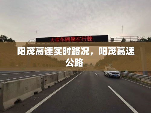 阳茂高速实时路况,阳茂高速公路