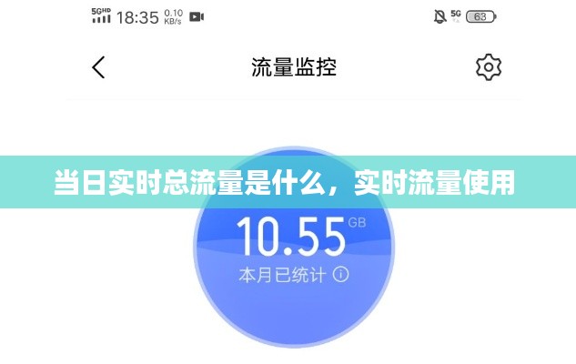 当日实时总流量是什么,实时流量使用