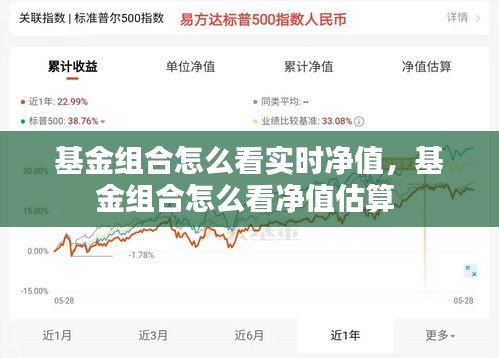 基金组合怎么看实时净值,基金组合怎么看净值估算