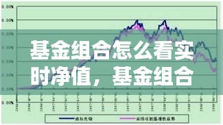 基金组合怎么看实时净值,基金组合怎么看净值估算