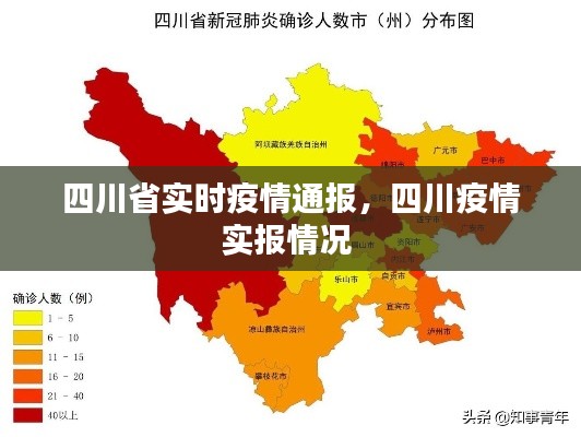 四川省实时疫情通报,四川疫情实报情况