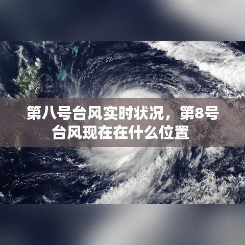 第八号台风实时状况,第8号台风现在在什么位置