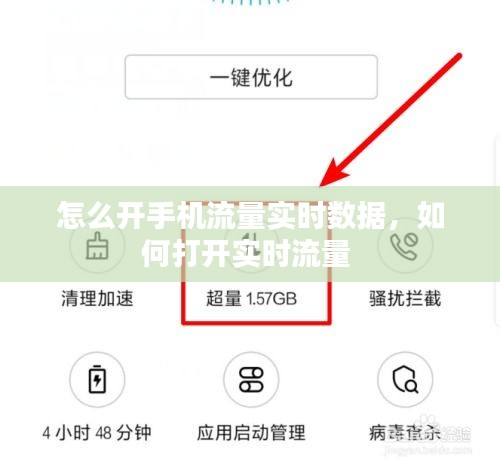 怎么开手机流量实时数据,如何打开实时流量
