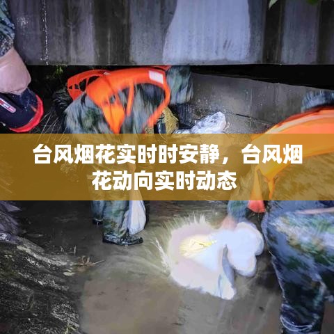 台风烟花实时时安静,台风烟花动向实时动态