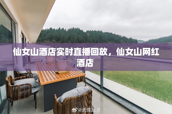 仙女山酒店实时直播回放,仙女山网红酒店
