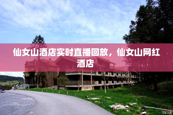仙女山酒店实时直播回放,仙女山网红酒店