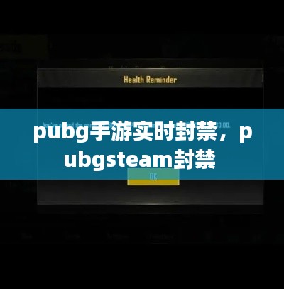 pubg手游实时封禁,pubgsteam封禁