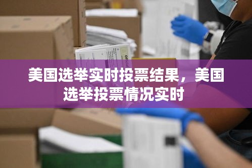美国选举实时投票结果,美国选举投票情况实时