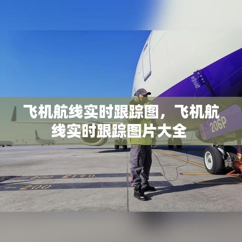 飞机航线实时跟踪图,飞机航线实时跟踪图片大全
