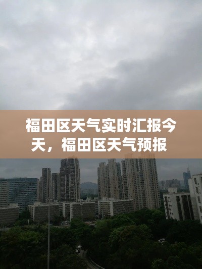 福田区天气实时汇报今天,福田区天气预报