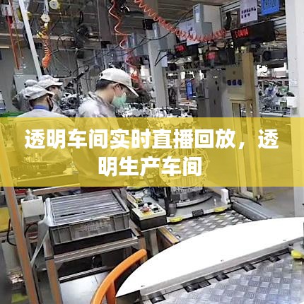 透明车间实时直播回放,透明生产车间