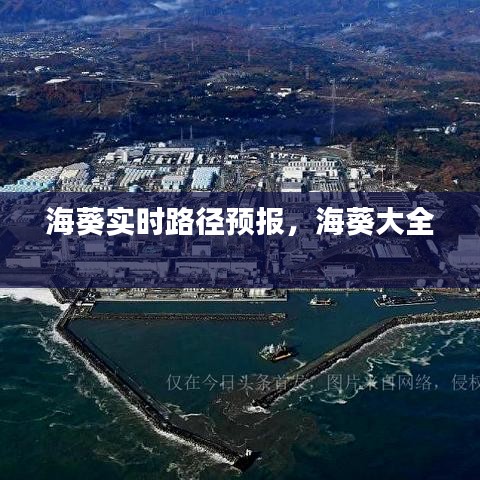 海葵实时路径预报,海葵大全