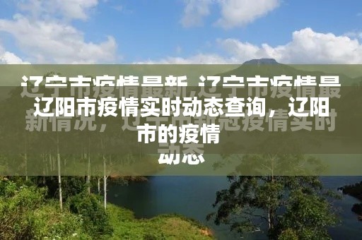 辽阳市疫情实时动态查询,辽阳市的疫情