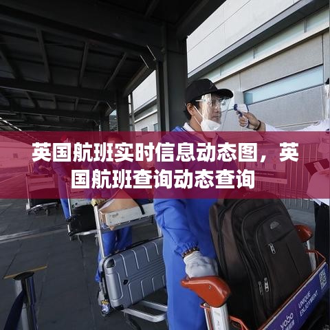 英国航班实时信息动态图,英国航班查询动态查询