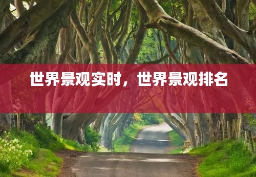 世界景观实时,世界景观排名