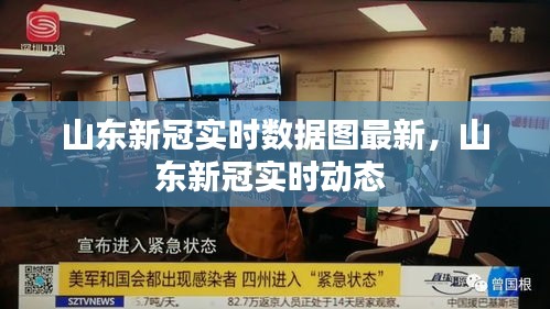 山东新冠实时数据图最新,山东新冠实时动态