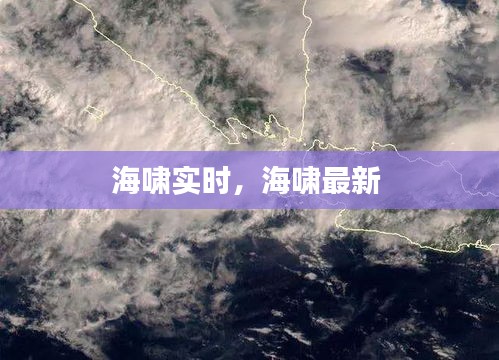 海啸实时,海啸最新