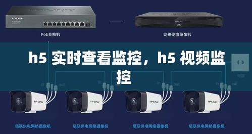 h5 实时查看监控,h5 视频监控
