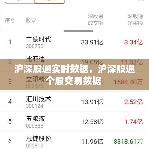 沪深股通实时数据,沪深股通个股交易数据