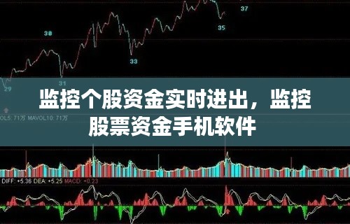 监控个股资金实时进出,监控股票资金手机软件