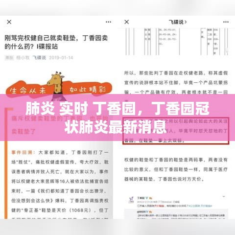 肺炎 实时 丁香园,丁香园冠状肺炎最新消息