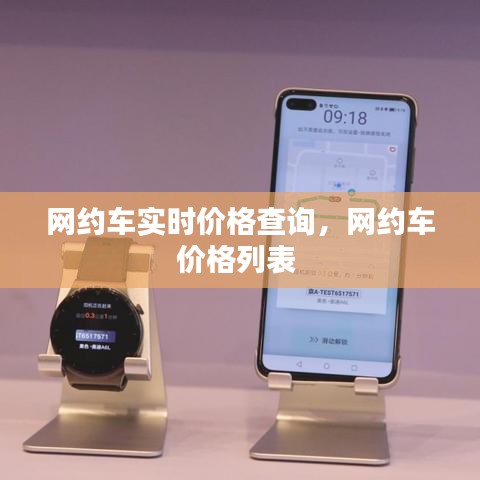 网约车实时价格查询,网约车价格列表