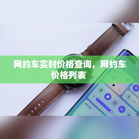 网约车实时价格查询,网约车价格列表