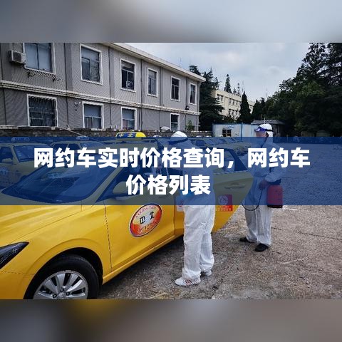 网约车实时价格查询,网约车价格列表