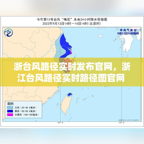 浙台风路径实时发布官网,浙江台风路径实时路径图官网