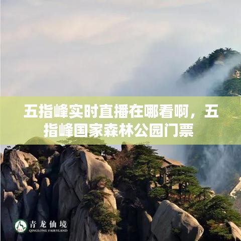 五指峰实时直播在哪看啊,五指峰国家森林公园门票