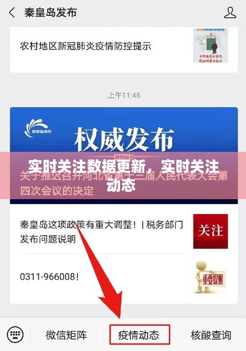 实时关注数据更新,实时关注动态