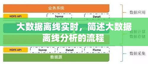 大数据离线实时,简述大数据离线分析的流程