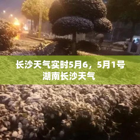 长沙天气实时5月6,5月1号湖南长沙天气