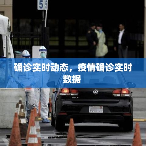 确诊实时动态,疫情确诊实时数据