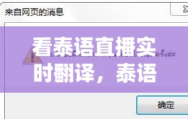 看泰语直播实时翻译,泰语翻译视频