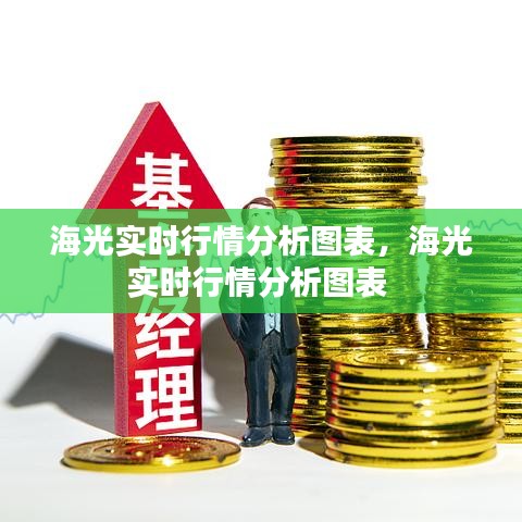 海光实时行情分析图表,海光实时行情分析图表