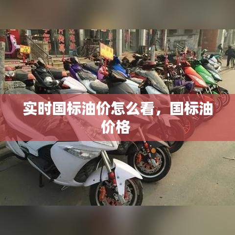 实时国标油价怎么看,国标油价格