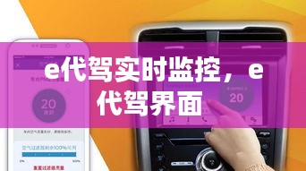 e代驾实时监控,e代驾界面