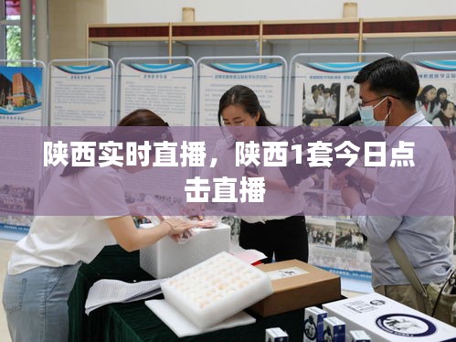 陕西实时直播,陕西1套今日点击直播