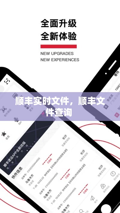 顺丰实时文件,顺丰文件查询
