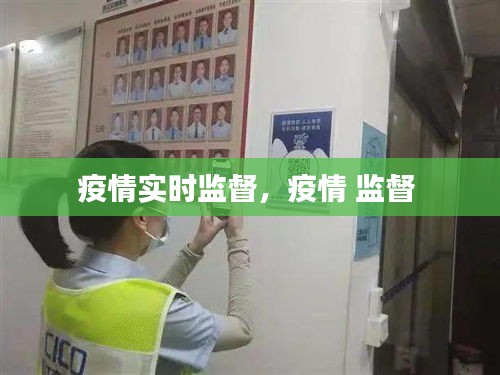 疫情实时监督,疫情 监督