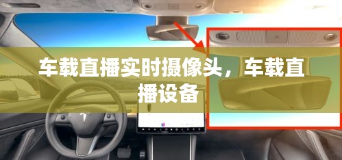 沉灶产蛙 第4页