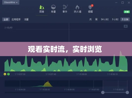 观看实时流,实时浏览
