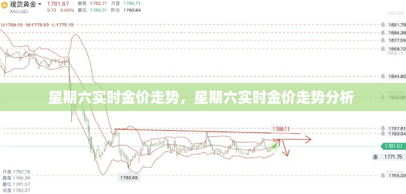 星期六实时金价走势,星期六实时金价走势分析
