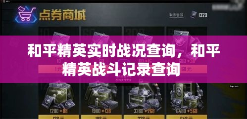 和平精英实时战况查询,和平精英战斗记录查询