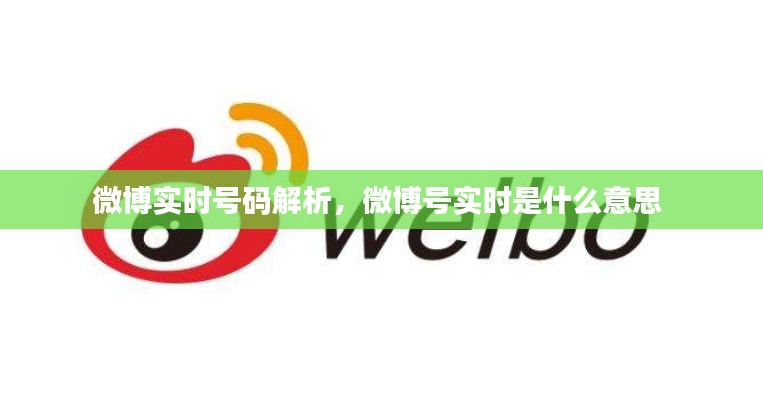 微博实时号码解析,微博号实时是什么意思