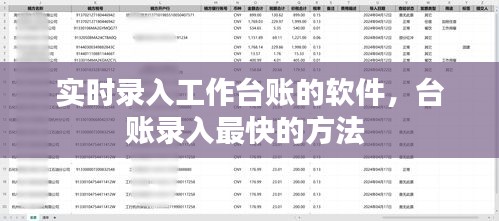 实时录入工作台账的软件,台账录入最快的方法